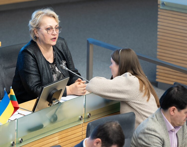 Seimo opozicija dėl „pranešėjo komisijos“ teisėtumo kreipiasi į Konstitucinį Teismą